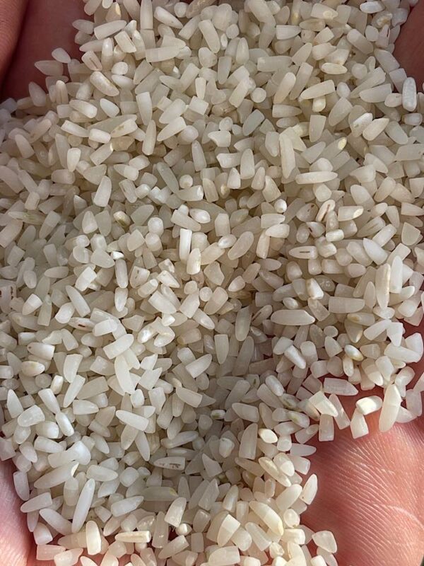 برنج نیم دانه