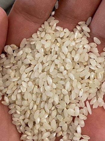کیسه برنج گرده ووشه، مناسب تهیه شیربرنج، شله زرد، فرنی، سوشی و انواع دسرهای سنتی