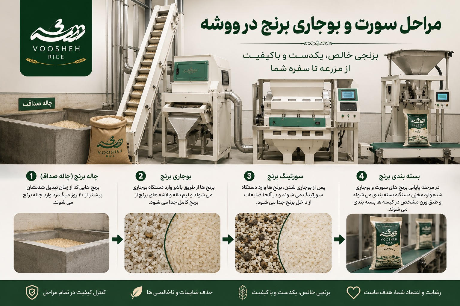 مراحل سورتینگ، بوجاری و بسته‌بندی برنج ایرانی در مجموعه ووشه برای حذف ضایعات و افزایش کیفیت محصول