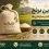 بهترین برنج برای ادارات و سازمان‌ها و شرکت‌ها؛ راهنمای انتخاب و خرید عمده برنج ایرانی بر اساس بودجه و نوع مصرف