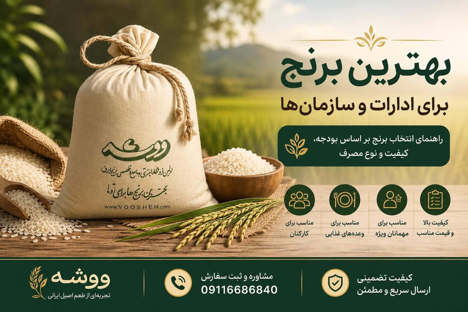 بهترین برنج برای ادارات و سازمان‌ها و شرکت‌ها؛ راهنمای انتخاب و خرید عمده برنج ایرانی بر اساس بودجه و نوع مصرف