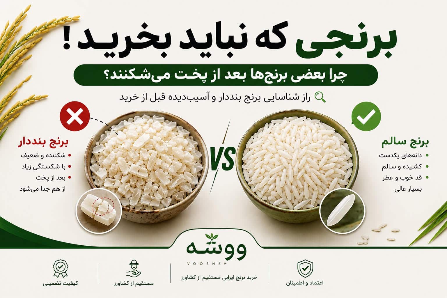 چرا برنج ایرانی بعد از پخت می شکند؟ بررسی دلایل شکستن برنج و راهنمای خرید برنج باکیفیت