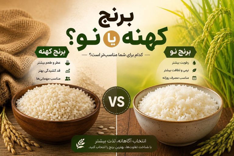 تفاوت برنج کهنه و برنج نو ایرانی؛ کدام برنج کیفیت پخت بهتری دارد؟