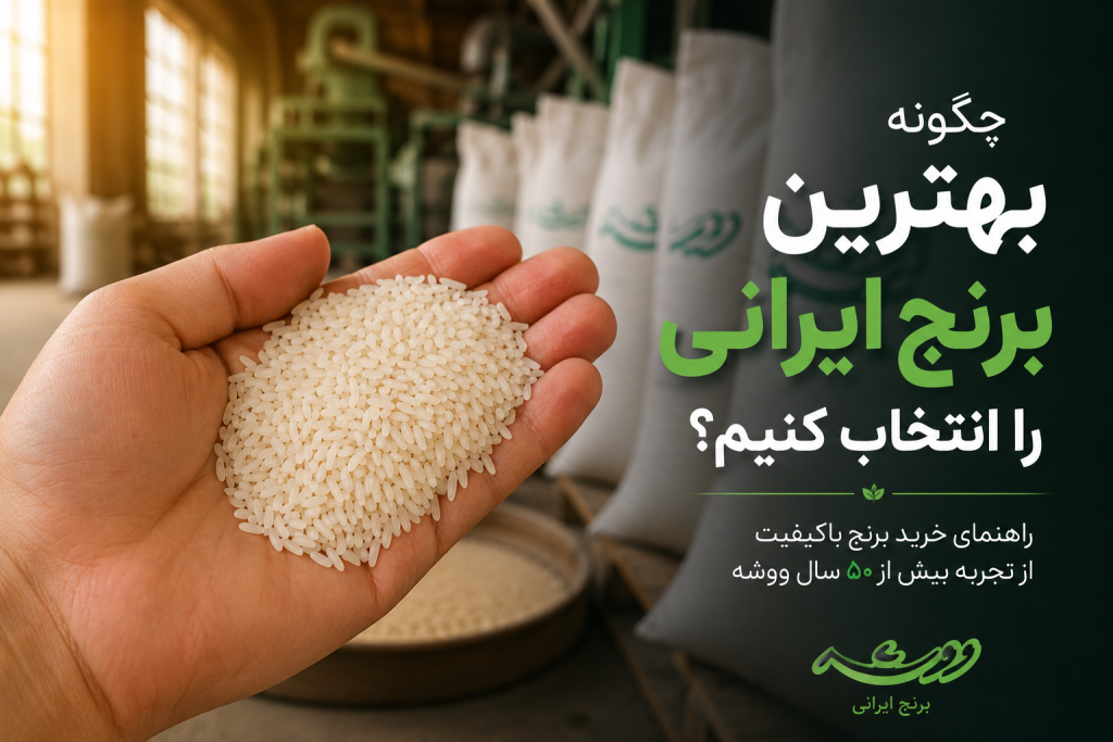 دست در حال بررسی دانه‌های برنج ایرانی باکیفیت برای انتخاب و خرید برنج ایرانی اصل