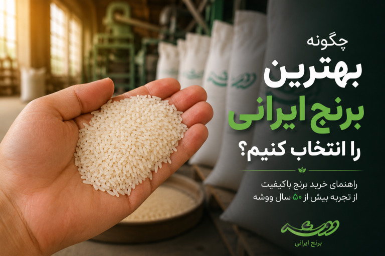 دست در حال بررسی دانه‌های برنج ایرانی باکیفیت برای انتخاب و خرید برنج ایرانی اصل