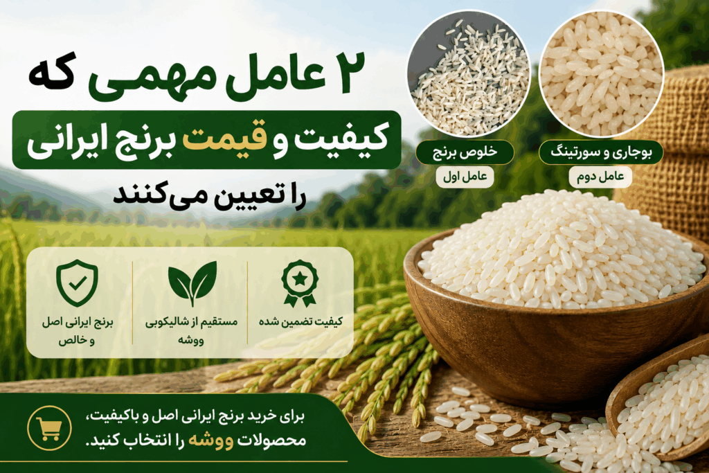 ۲ عامل مهم تعیین کیفیت و قیمت برنج ایرانی