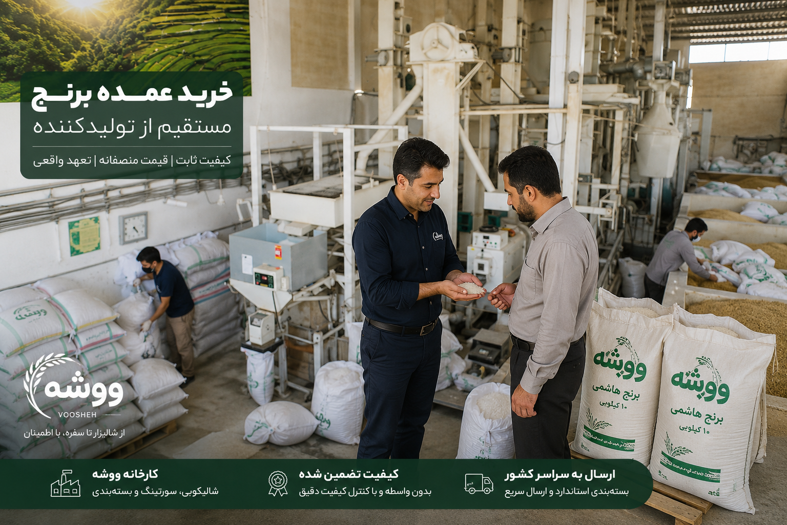 بازدید مشتری از کارخانه و مجموعه ووشه قبل از خرید عمده برنج