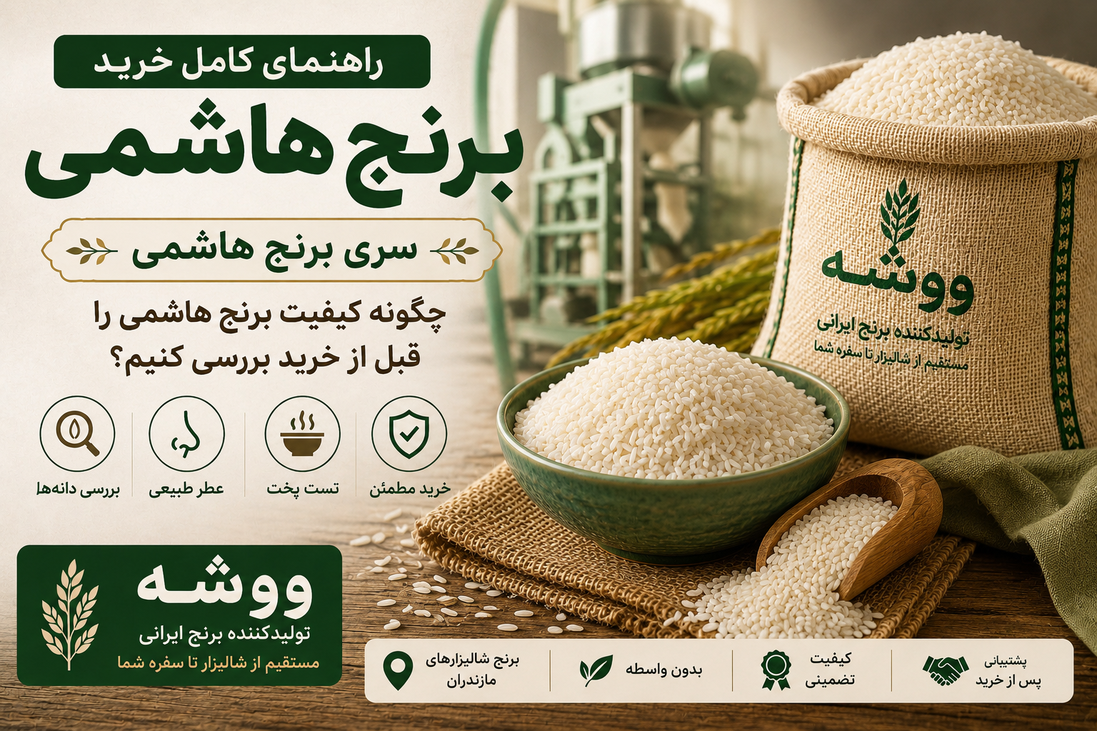 راهنمای بررسی کیفیت برنج هاشمی قبل از خرید