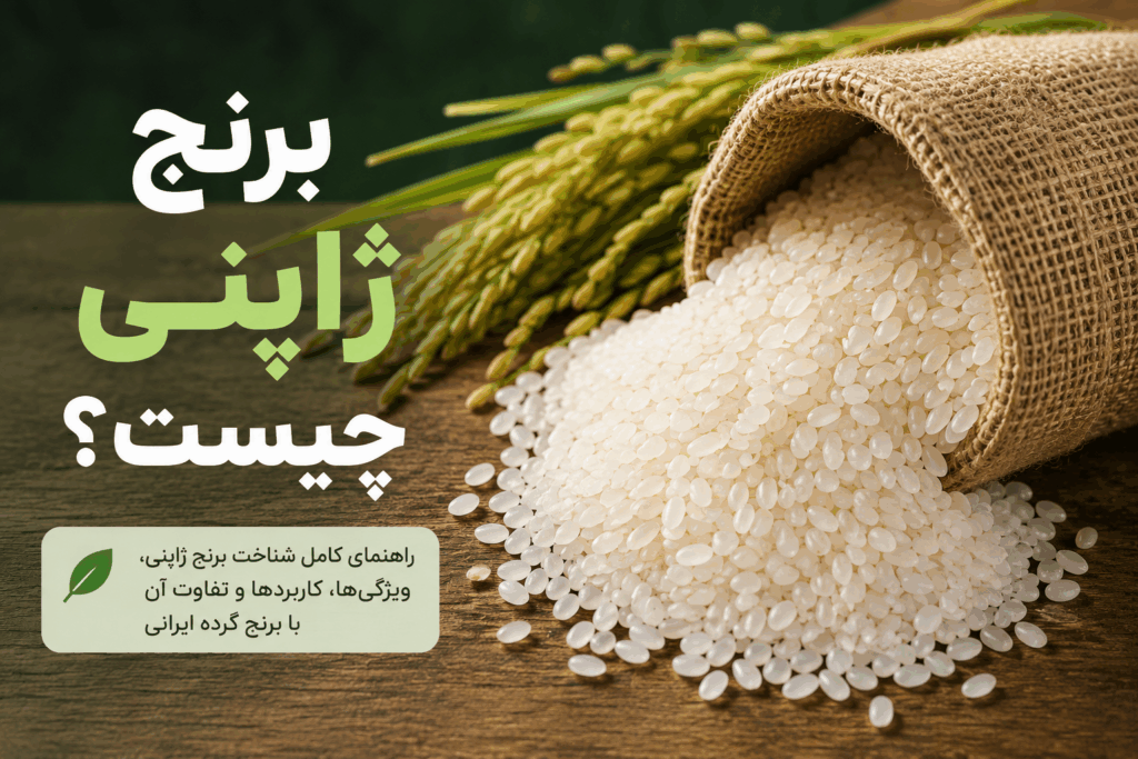 برنج ژاپنی چیست؟ معرفی ویژگی‌ها و تفاوت آن با برنج گرده ایرانی