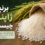 برنج ژاپنی چیست؟ معرفی ویژگی‌ها و تفاوت آن با برنج گرده ایرانی