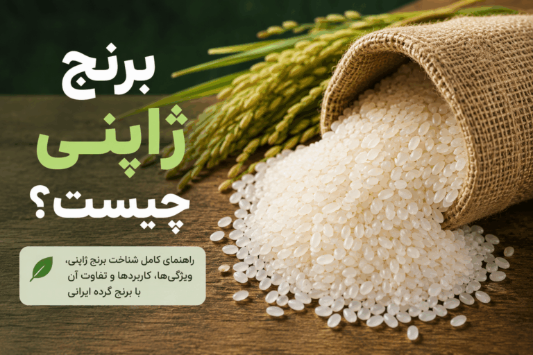 برنج ژاپنی چیست؟ معرفی ویژگی‌ها و تفاوت آن با برنج گرده ایرانی